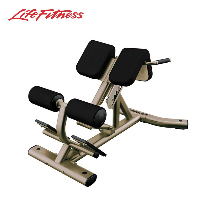 LifeFitness 力健 背部伸展練習(xí)器 鎳金色