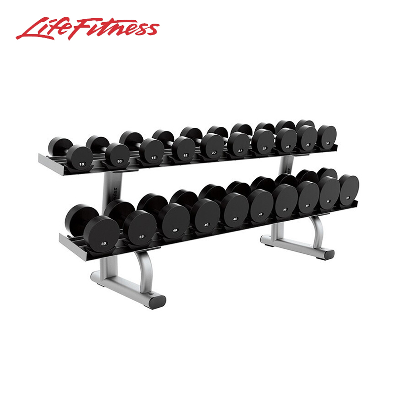 LifeFitness 力健 雙層啞鈴架（不含啞鈴） 白金色